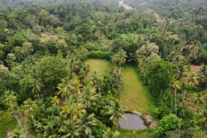 0D8AAD67-C848-4AC8-80A9-3A6C42580B41