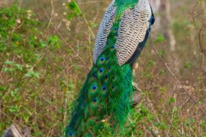 10A1A61C-FC33-41A6-92F5-81507D83C034 10A1A61C-FC33-41A6-92F5-81507D83C034