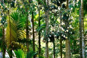 186479546_939454993291866_2237605428632857623_n