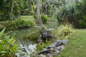 2AB9FCC3-6694-421D-9371-077C41049152_1_201_a 2AB9FCC3-6694-421D-9371-077C41049152_1_201_a