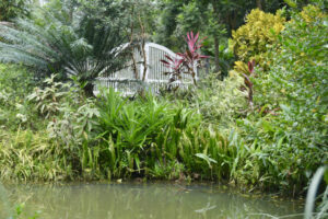 3C5863D4-3BEF-405F-A21A-3A5076EFCC88_1_201_a