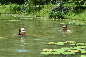 40FC7A58-949A-43F8-9875-E24307D90B19_1_201_a 40FC7A58-949A-43F8-9875-E24307D90B19_1_201_a