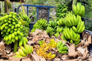 472801872_1746831822554175_2504245279470873389_n 472801872_1746831822554175_2504245279470873389_n