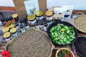 473019103_1746710472566310_7261170442662447777_n 473019103_1746710472566310_7261170442662447777_n