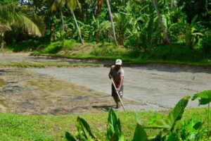 473120385_1747502485820442_4828337803927148951_n 473120385_1747502485820442_4828337803927148951_n