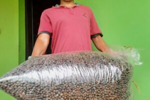 473146099_1746699939234030_5520765619326285359_n 473146099_1746699939234030_5520765619326285359_n