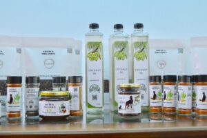 473166041_1746845245886166_3629816583487515365_n 473166041_1746845245886166_3629816583487515365_n