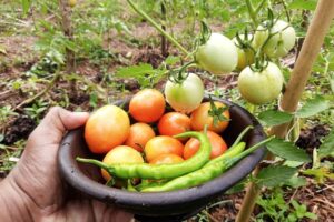 473188414_1746843479219676_2556124382809839095_n 473188414_1746843479219676_2556124382809839095_n