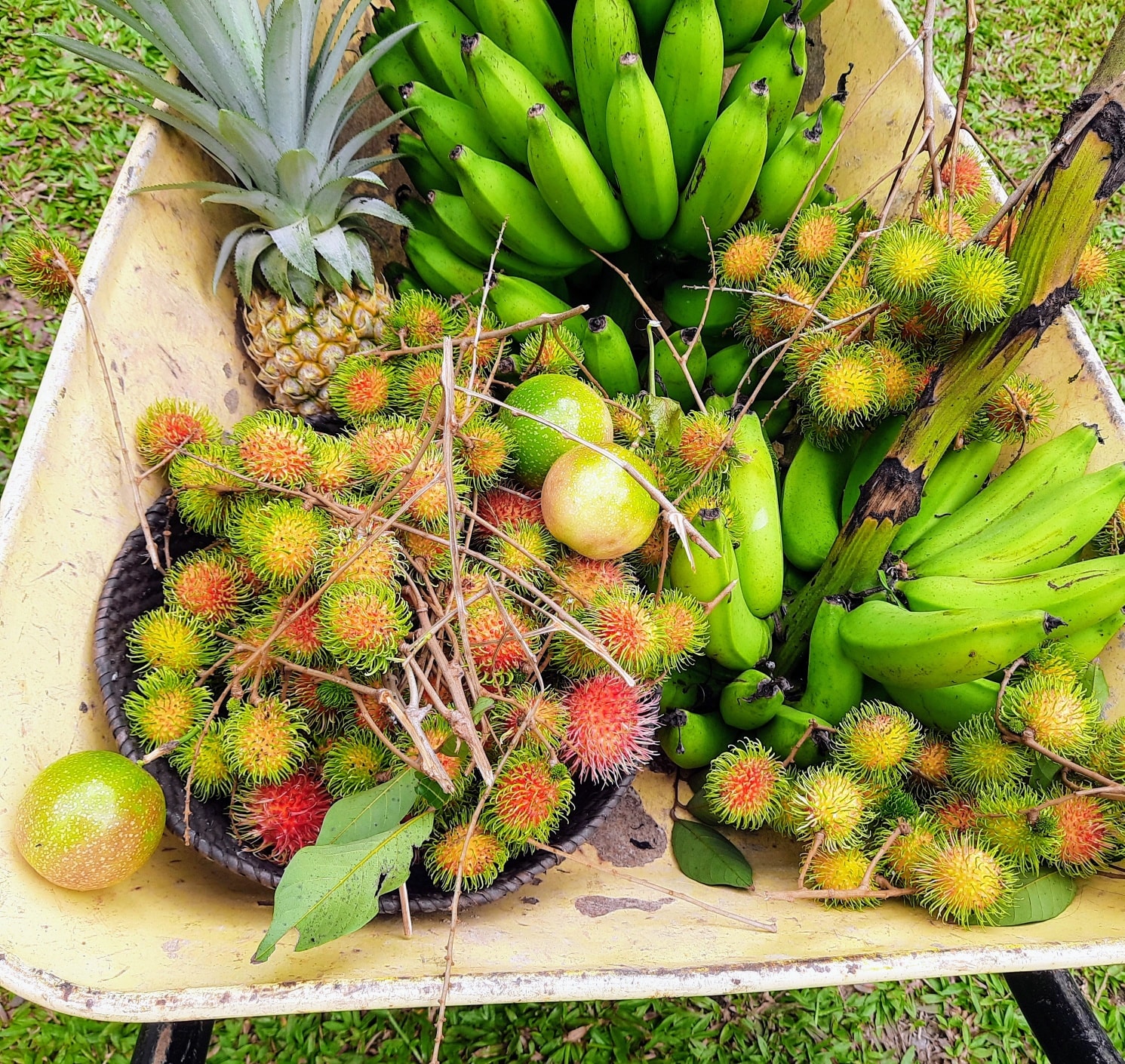 473190701_1747872615783429_2694360224494136246_n