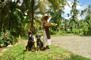 473373294_1747500372487320_7141982858753236245_n 473373294_1747500372487320_7141982858753236245_n