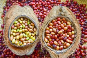 479186215_1251145949832366_1185339720043947367_n 479186215_1251145949832366_1185339720043947367_n