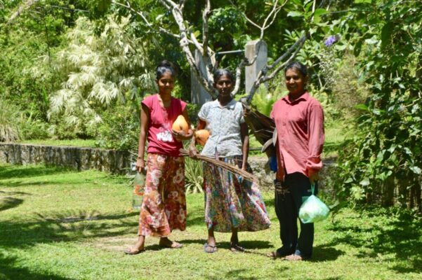 487839919_1291943115752649_4298154453986893894_n