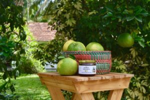 494090124_1316472176633076_5611966370673305885_n 494090124_1316472176633076_5611966370673305885_n