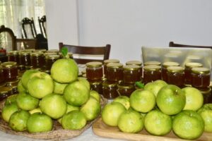 494642881_1316686993278261_1281933028218494486_n 494642881_1316686993278261_1281933028218494486_n