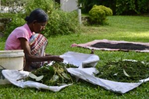 494985813_1317732123173748_747886239251666631_n 494985813_1317732123173748_747886239251666631_n