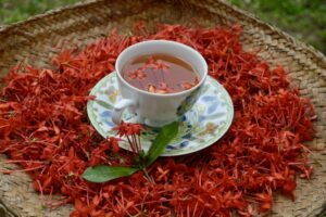 498628188_1333142991632661_8174719609641024369_n 498628188_1333142991632661_8174719609641024369_n