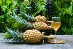 499663656_1333736864906607_2790717807158526099_n 499663656_1333736864906607_2790717807158526099_n