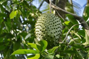 501033967_1343057397307887_7571860512562780127_n 501033967_1343057397307887_7571860512562780127_n