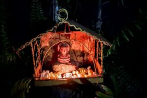 505786208_1353526396260987_9168202432994166264_n 505786208_1353526396260987_9168202432994166264_n