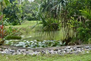 506594641_1356907919256168_4082613149020076524_n 506594641_1356907919256168_4082613149020076524_n