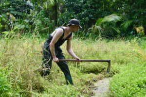 518117517_1380889456858014_304795834319750562_n 518117517_1380889456858014_304795834319750562_n