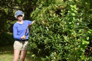 518354653_1382938906653069_2168061295384726247_n 518354653_1382938906653069_2168061295384726247_n