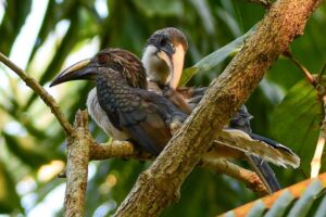 52D23F85-BC26-44E1-B7C6-F9A8082CDB49 52D23F85-BC26-44E1-B7C6-F9A8082CDB49