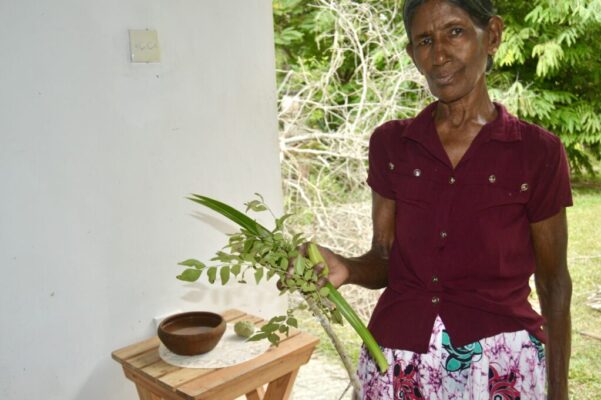 533500844_1411554050458221_2475215418699513917_n