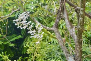 599432120_1515148263432132_4713398081530302024_n 599432120_1515148263432132_4713398081530302024_n