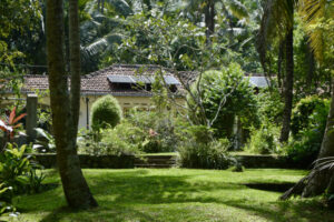 65BEC4DE-4A7F-408C-83B8-E2B52A60CD24_1_201_a