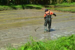 815A625B-3AC7-445D-8523-CDD836431453