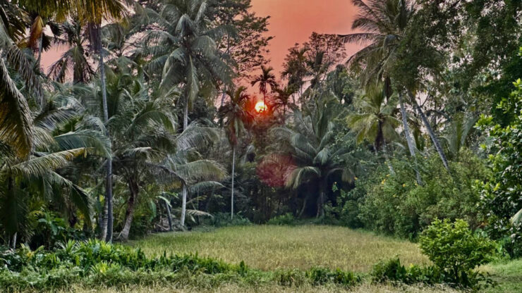 86B223E8-95CC-43C8-AFFB-585AE3191C14_1_201_a