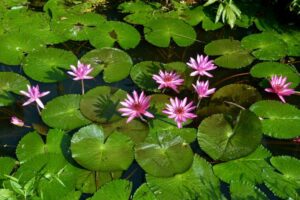 931FE412-1F5C-49B6-B1F8-824F96570AFE_1_201_a 931FE412-1F5C-49B6-B1F8-824F96570AFE_1_201_a