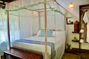 A12ADCCF-D2D5-445C-9460-7C5EB036A4CC_1_201_a A12ADCCF-D2D5-445C-9460-7C5EB036A4CC_1_201_a