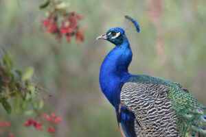 A193E264-4E88-46C0-B217-3CEE37E5C7EF A193E264-4E88-46C0-B217-3CEE37E5C7EF