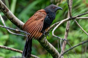 C618D795-6AAA-441A-BA2E-DE80ED58994B C618D795-6AAA-441A-BA2E-DE80ED58994B