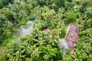 D6273ABE-0E41-4293-AC56-8E24206416A9_1_201_a