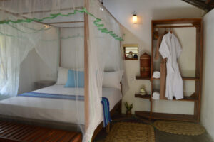 E330E31A-063C-474F-966A-832965FC3544_1_201_a E330E31A-063C-474F-966A-832965FC3544_1_201_a