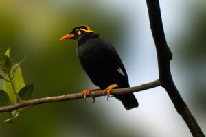 FDA5B7CA-F82E-48AC-8048-2989F0471660 FDA5B7CA-F82E-48AC-8048-2989F0471660